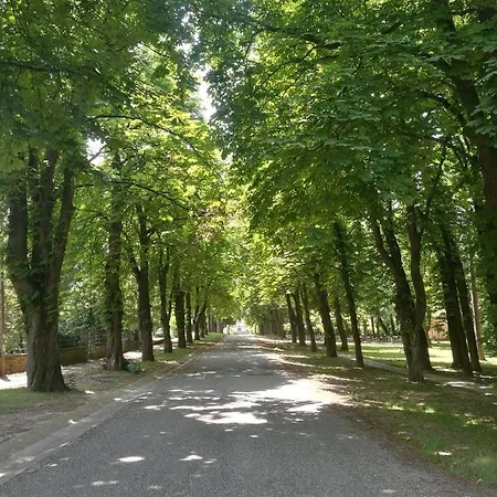 Bagolyvar * Balatonszárszó