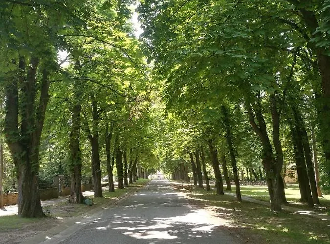 Bagolyvar * Балатонсемеш